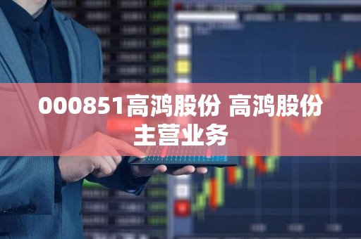 高鴻股份最新消息,高鴻股份最新消息，鑄就數(shù)字時代的領航者