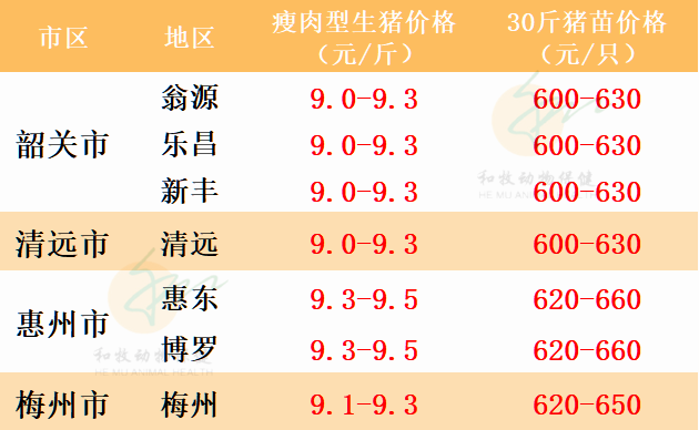 廣東生豬價格最新行情更新，今日豬價走勢分析
