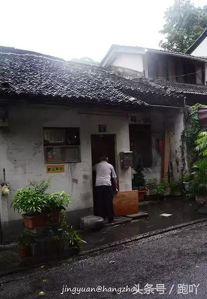 花生最新價格行情走勢揭秘，小巷深處的花生香探秘之旅