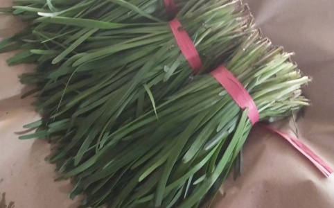 韭菜價格最新行情詳解及獲取策略分析指南