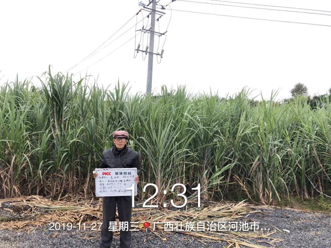 白糖期貨最新動(dòng)態(tài)及其對市場的影響分析觀點(diǎn)分享