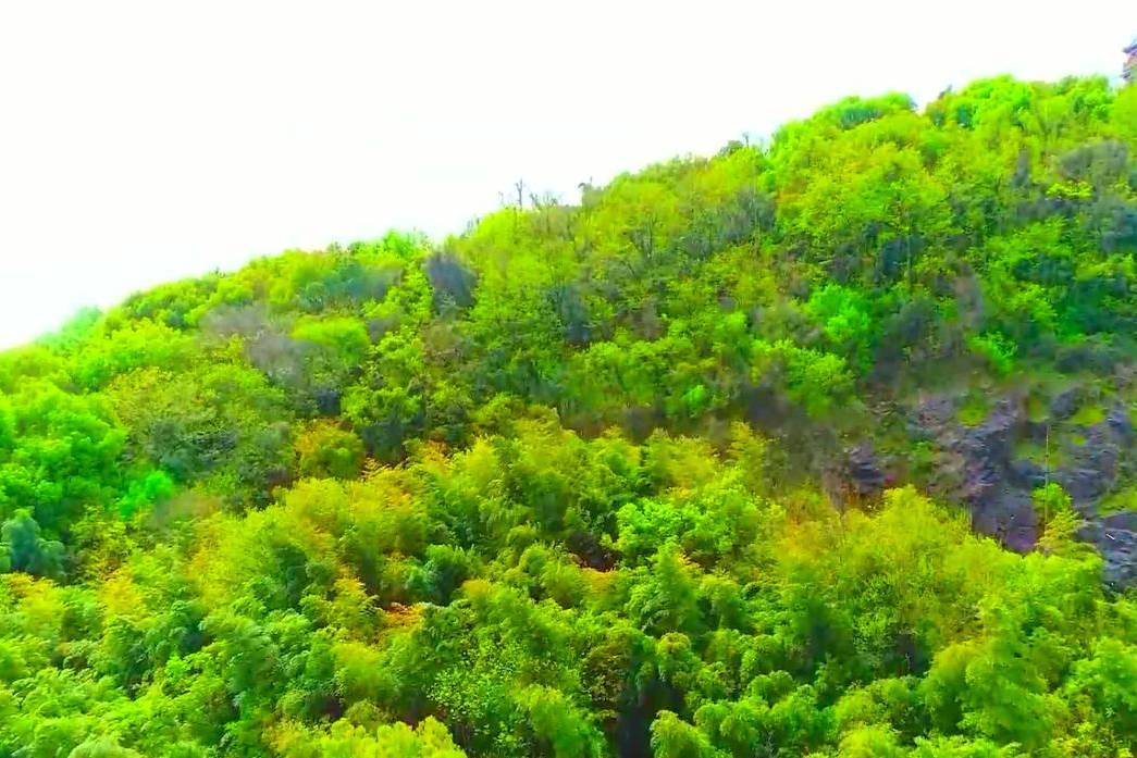 最新光棍影院，自然美景的心靈之旅