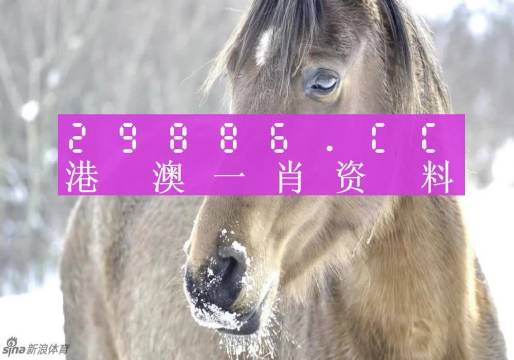 澳門精準一肖一碼100%,最佳精選解釋定義_FT27.748