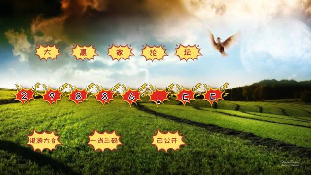 澳門4949最快開獎(jiǎng)結(jié)果揭秘，彩民分享中獎(jiǎng)心得