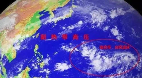 臺風(fēng)中的勵志故事，學(xué)習(xí)變化帶來的自信與成就感——最新臺風(fēng)資訊與啟示