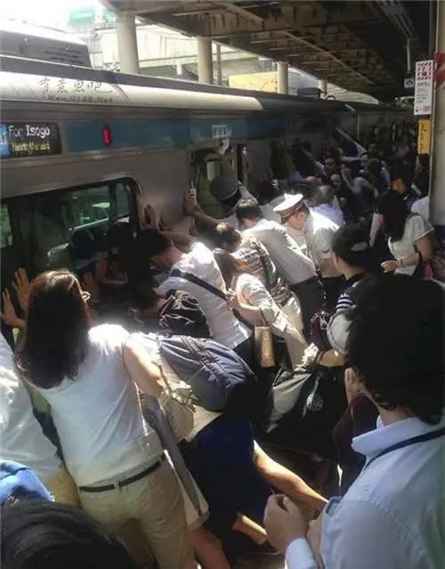 今天火車停運(yùn)，擁抱自然，啟程心靈之旅