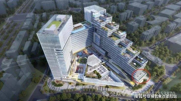 2024澳門今天晚上開什么生肖啊,數(shù)據(jù)支持設(shè)計(jì)解析_AP13.590