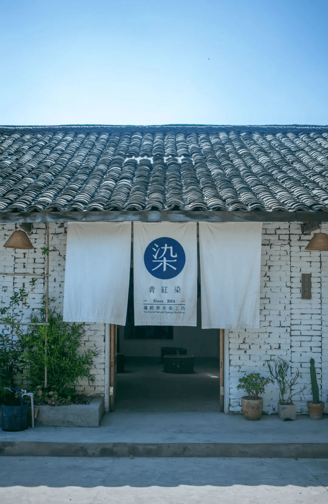 醫(yī)藥最新動態(tài)揭秘，小巷深處的特色小店探尋之旅