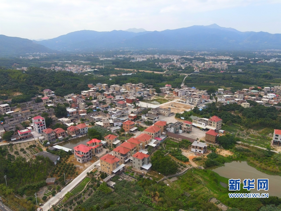 特色直播小店探秘，最新直播平臺(tái)下的奇妙旅程