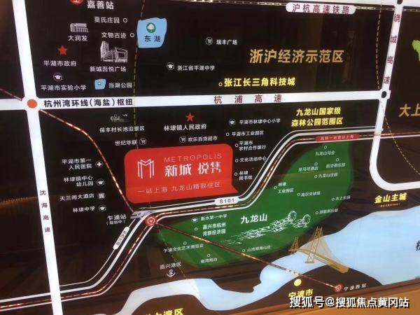 棉花最新動態(tài)解析，市場趨勢與行業(yè)洞察