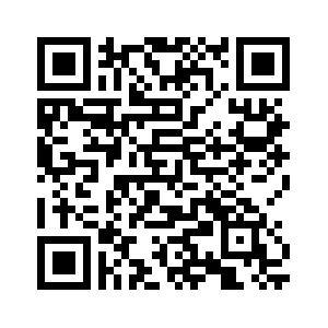 一肖一碼一一肖一子深圳,安全性方案執(zhí)行_ZIK38.779榮耀版