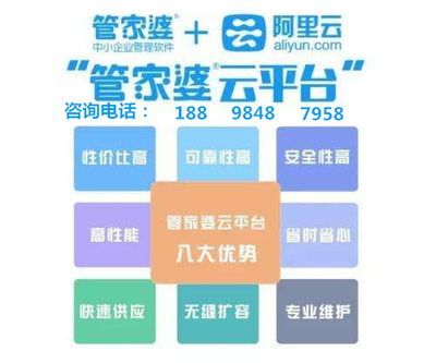 2024正版管家婆,安全保障措施_NZF85.130定制版