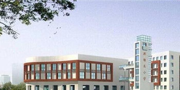 洪塘頭小學(xué)，科技前沿的小學(xué)教育革新之旅最新消息揭秘