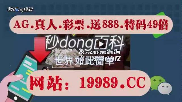 2024澳門六開彩免費(fèi)公開,科學(xué)分析解釋說明_GRC85.656高速版