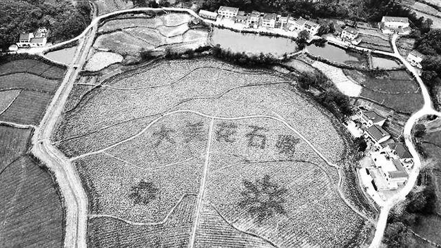 霍山縣房價(jià)動態(tài)更新，小巷深處的隱藏寶藏與獨(dú)特小店探秘揭秘