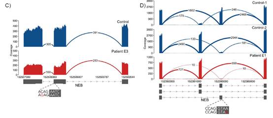 港澳彩資料免費(fèi)網(wǎng),科學(xué)解釋分析_ZDE94.986沉浸版