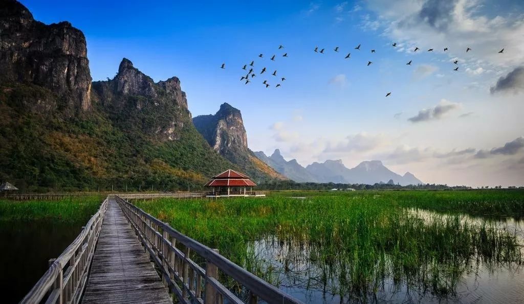 湖北千木靈芝最新動態(tài)，自然美景的探索之旅，尋找內(nèi)心的平和與和諧