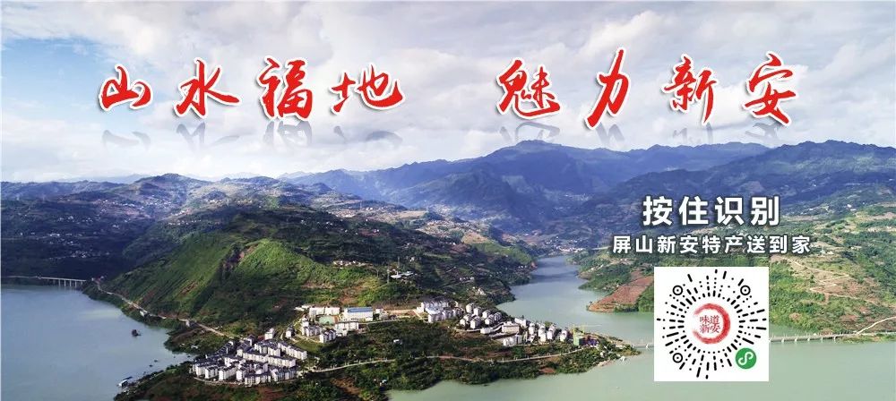 四川宜賓新任領(lǐng)導(dǎo)公示，啟程探索自然美景，尋求內(nèi)心平和寧靜之旅
