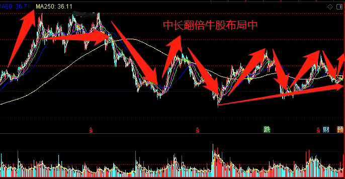 霸王集團(tuán)股票動(dòng)態(tài)，最新消息引領(lǐng)自信與成就，共筑夢(mèng)想之路！