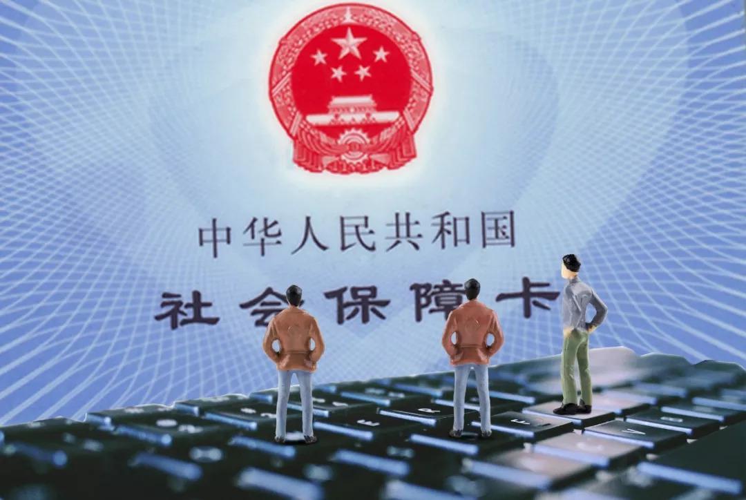 檔案年齡認(rèn)定最新規(guī)定，心靈與自然的奇妙之旅