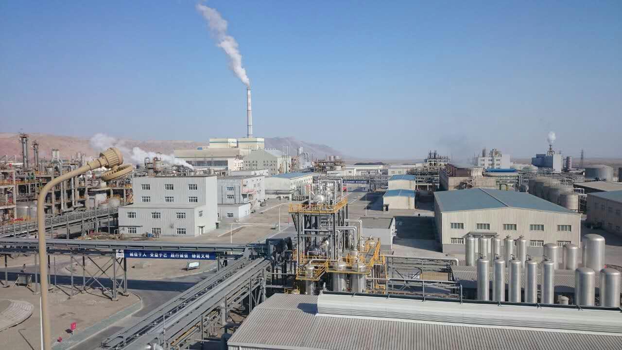 中泰化學(xué)最新消息股吧，全面解讀與詳細(xì)步驟指南