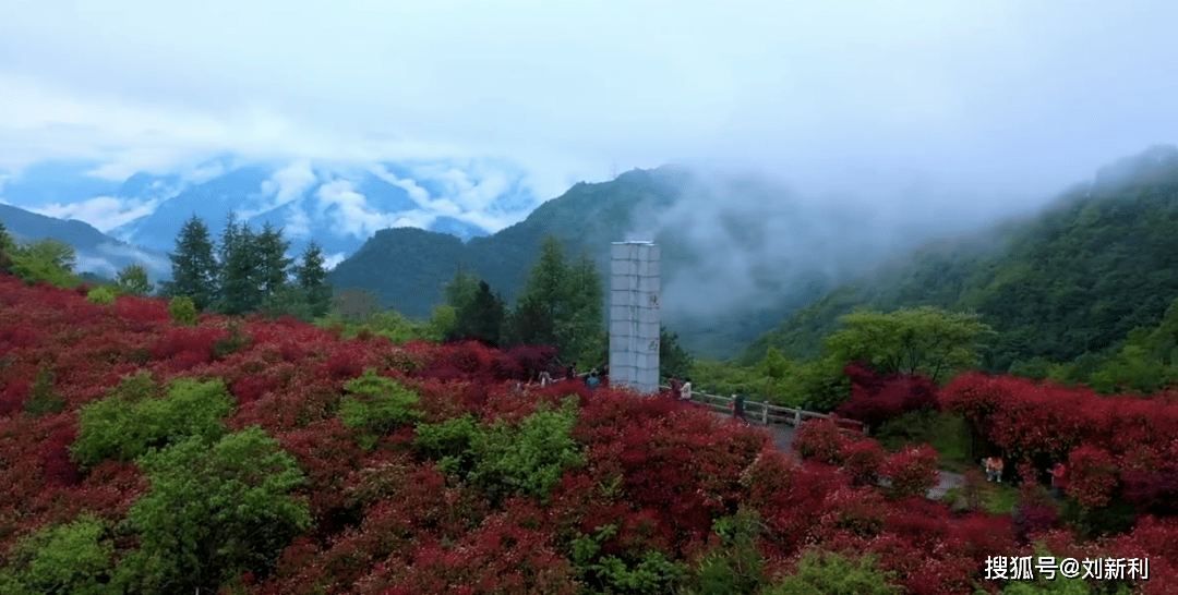 尉氏縣搬遷消息最新,尉氏縣搬遷消息最新，一場自然美景的探索之旅，心靈寧靜的呼喚