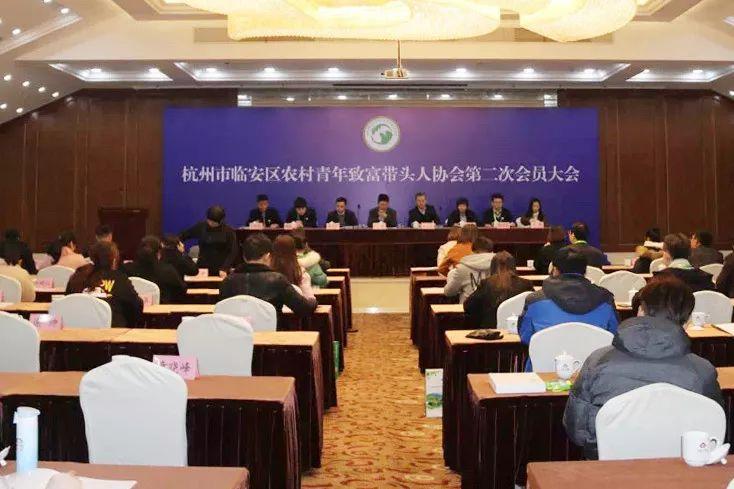 臨安人才網(wǎng)最新招聘信息概覽，最新職位與招聘信息匯總