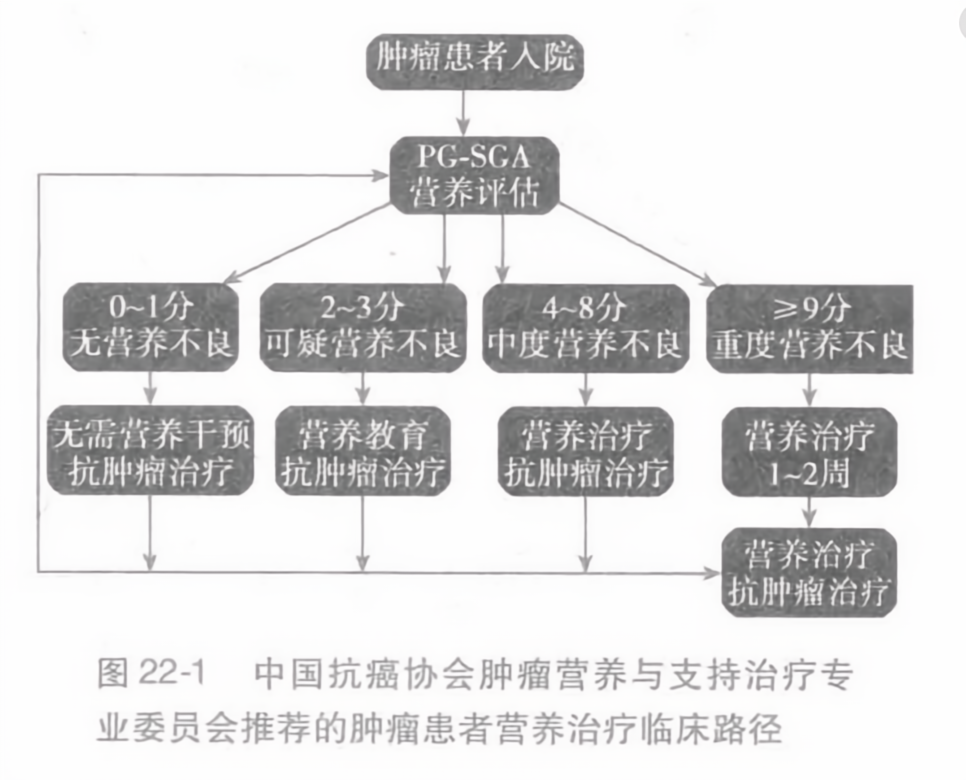 中國(guó)腫瘤營(yíng)養(yǎng)指南最新版的背景、影響與地位解析