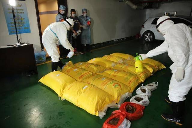 安徽最新入境政策揭秘，開啟自然探索之旅，追尋內(nèi)心平和寧靜的旅程