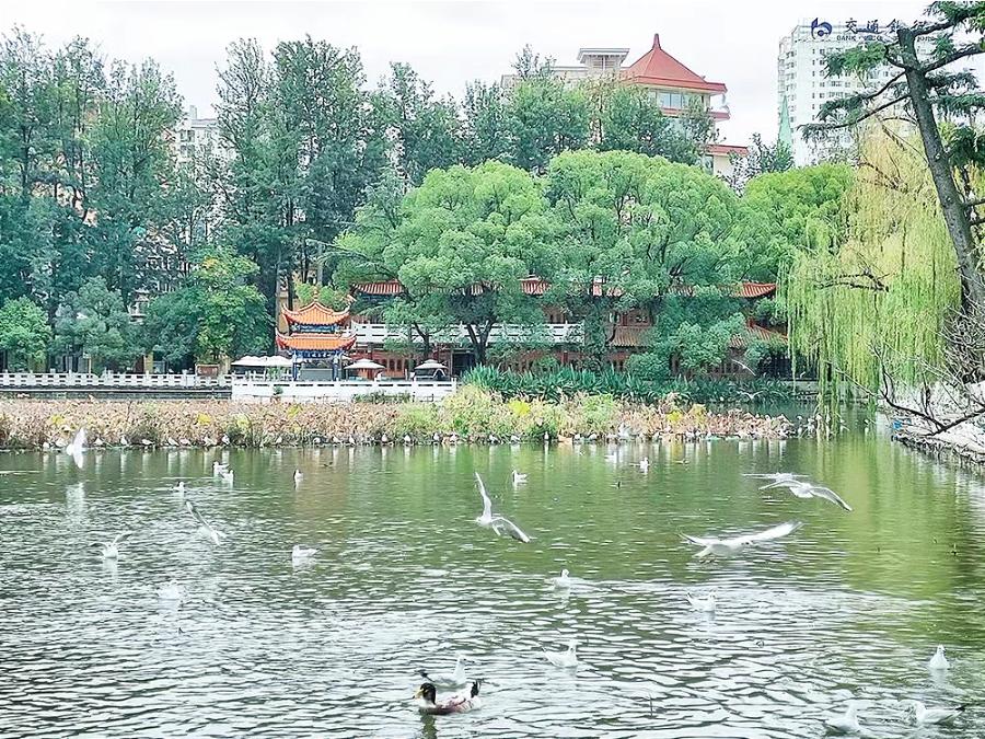 美國最新上市新規(guī)，自然美景探索之旅啟程