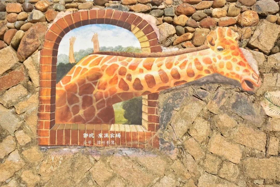 探索之旅