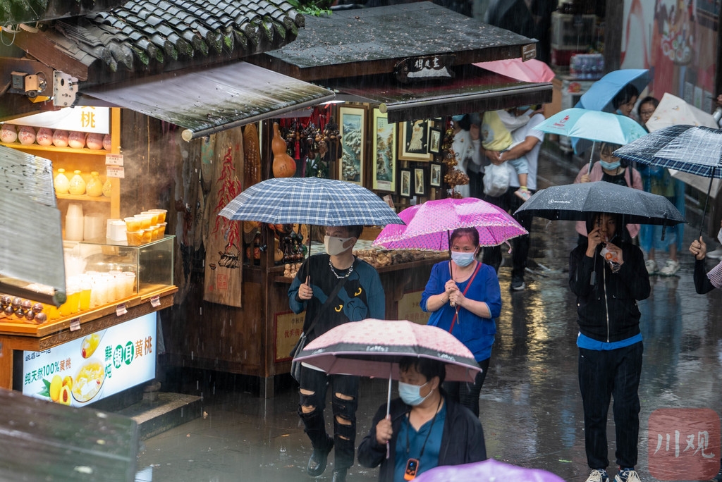 絲雨王姐最新探秘，小巷中的美食秘境