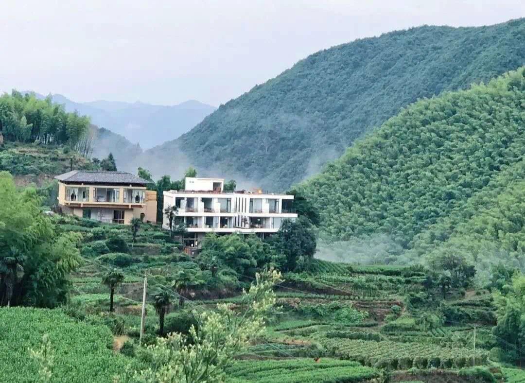 遂昌最新公告，探索自然美景之旅，尋找內(nèi)心的平和與寧靜