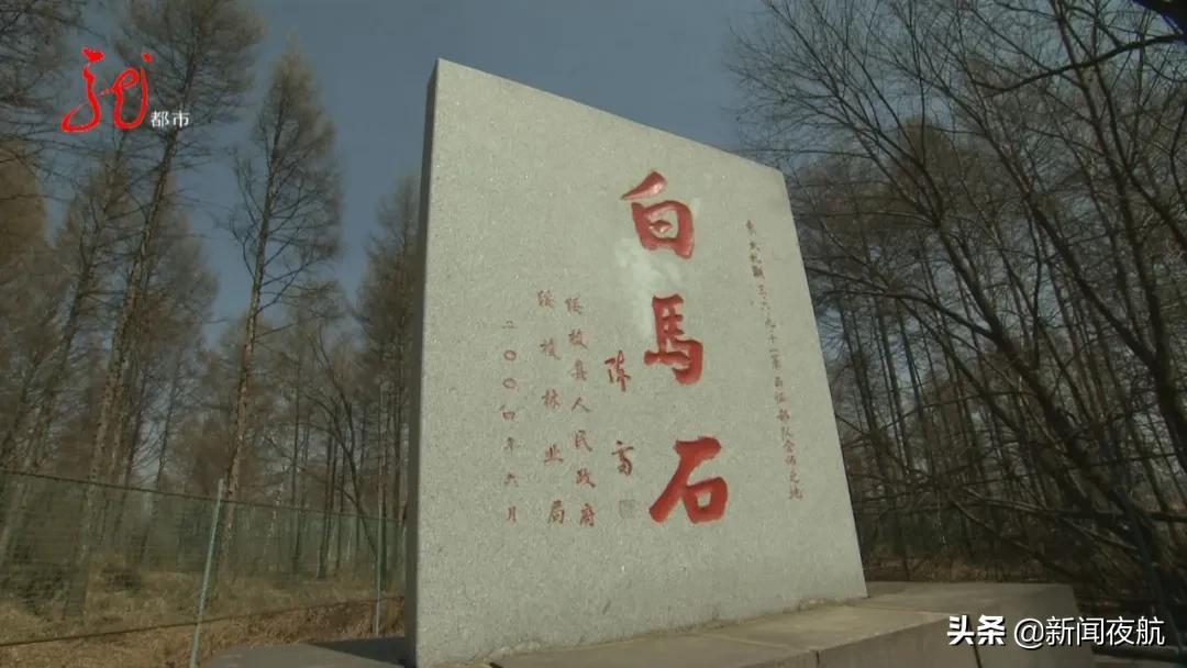 最新入關(guān)日本，一段溫馨的旅程之旅