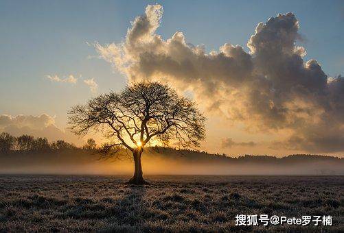 癡荊最新，自然美景之旅，探尋內心平和與喜悅的旅程