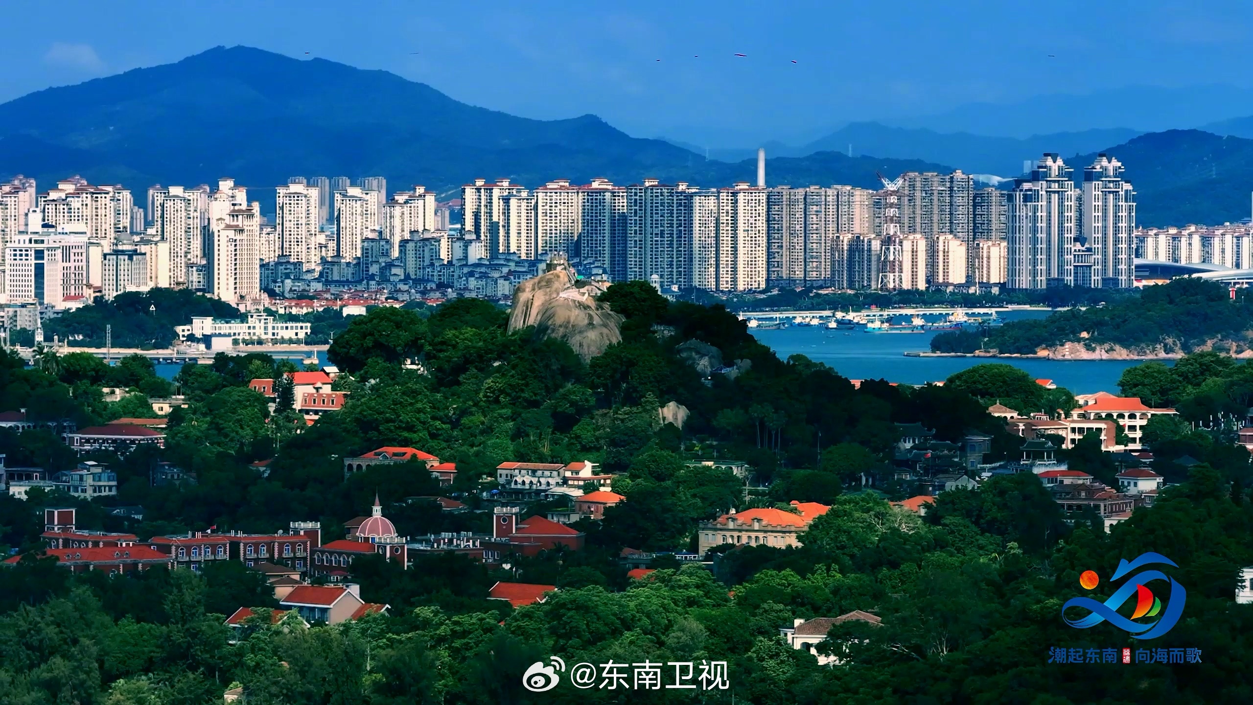 福建最新動態(tài)，小城奇遇與家的溫馨