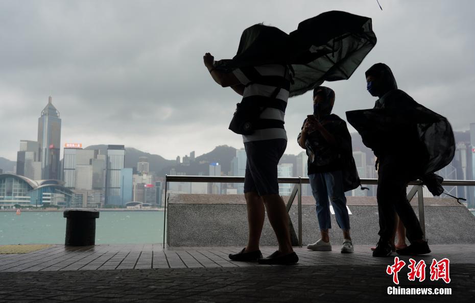 香港臺風(fēng)最新動態(tài)及其觀點(diǎn)論述解析