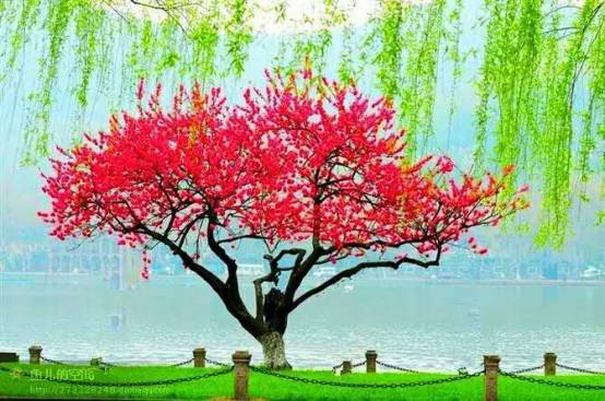 滿園芬芳新篇章，高科技產(chǎn)品的革新之旅探索