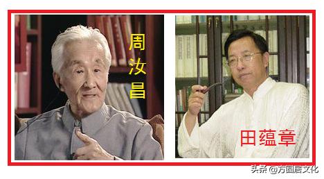 最新神召，深度解析與觀點(diǎn)闡述