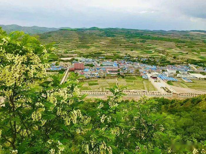 匯川區(qū)山盆鎮(zhèn)最新動態(tài)揭秘，小巷深處的獨特風味