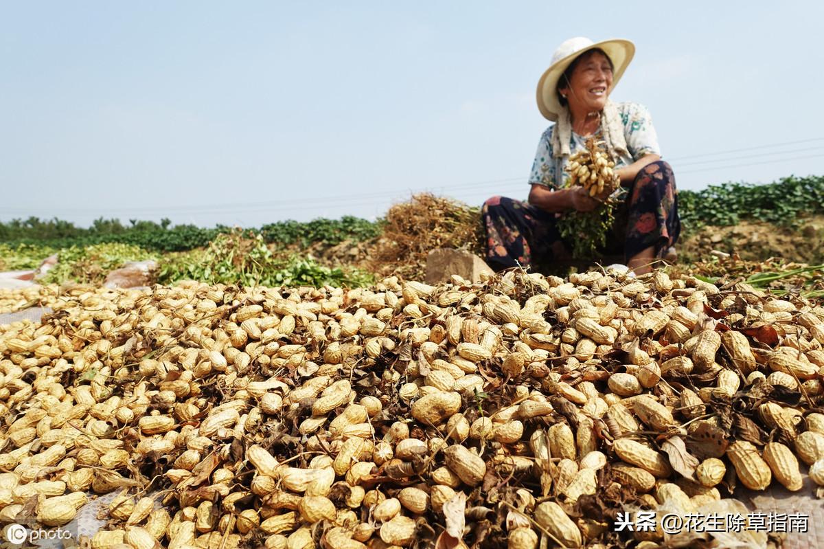 鄒城萬德廣場的日常故事，最新消息揭秘