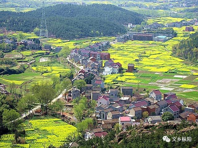 樅陽(yáng)縣橫埠鎮(zhèn)最新動(dòng)態(tài)，觀點(diǎn)闡述與分析
