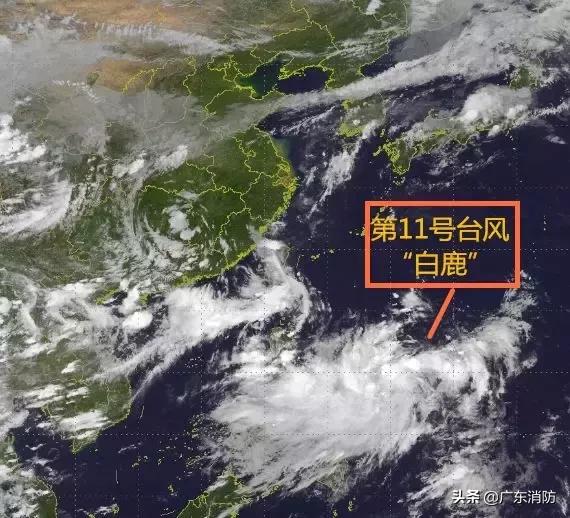 廣東臺風最新消息2019，多方觀點分析與個人立場表達