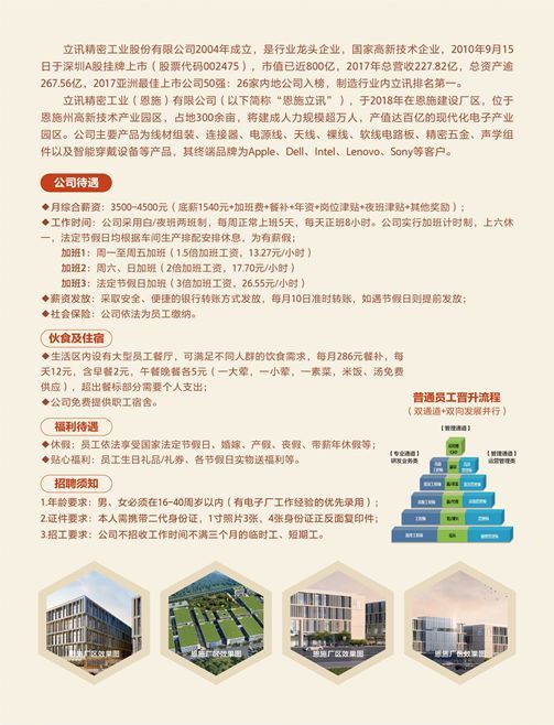 恩施市招聘網(wǎng)最新招聘，科技引領(lǐng)未來，工作觸手可及啟動(dòng)招募活動(dòng)