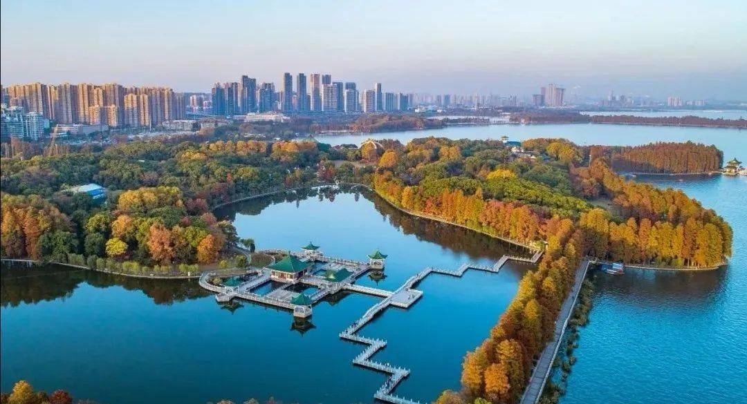 宜州市最新動(dòng)態(tài)，城市溫情與友情相伴的趣事