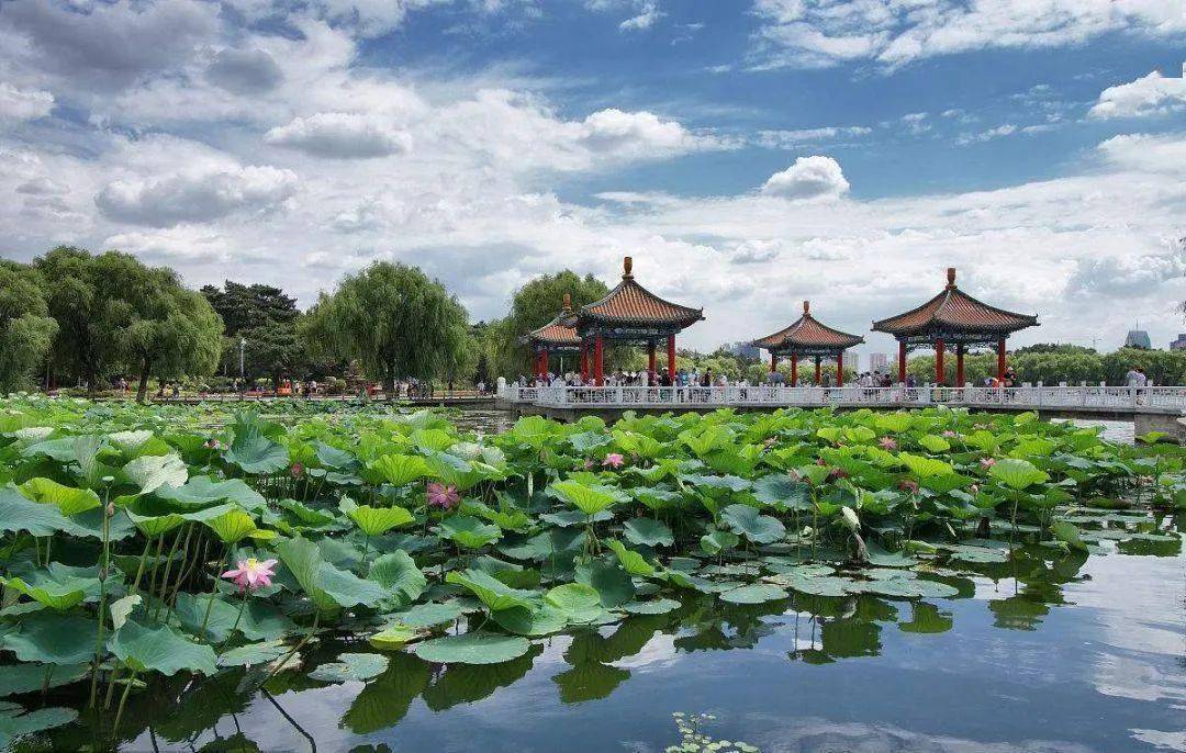 寧波電視臺(tái)最新招聘，探索自然美景之旅，尋找內(nèi)心平和與寧靜的伙伴