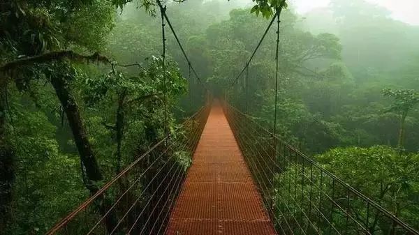 最新河道水情示意圖，自然美景的探索之旅啟動！