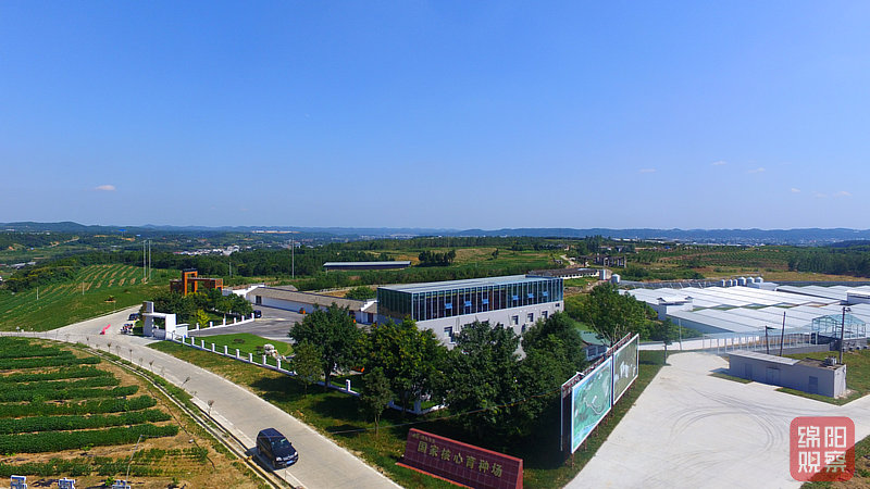 綿陽(yáng)豐谷鎮(zhèn)最新發(fā)展動(dòng)態(tài)，綠色發(fā)展與經(jīng)濟(jì)騰飛????