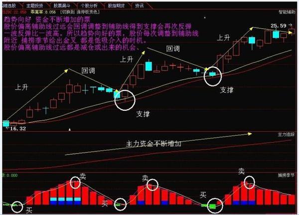 王子新材最新股票動態(tài)，自然美景的探索之旅啟程！