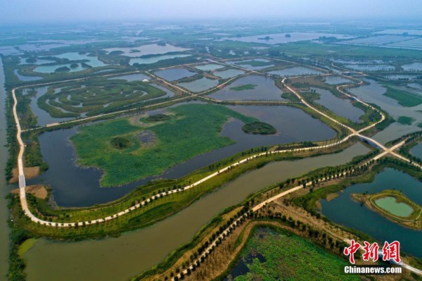 杭州白馬湖最新動態(tài)，自然美景之旅，探尋內心寧靜與平和